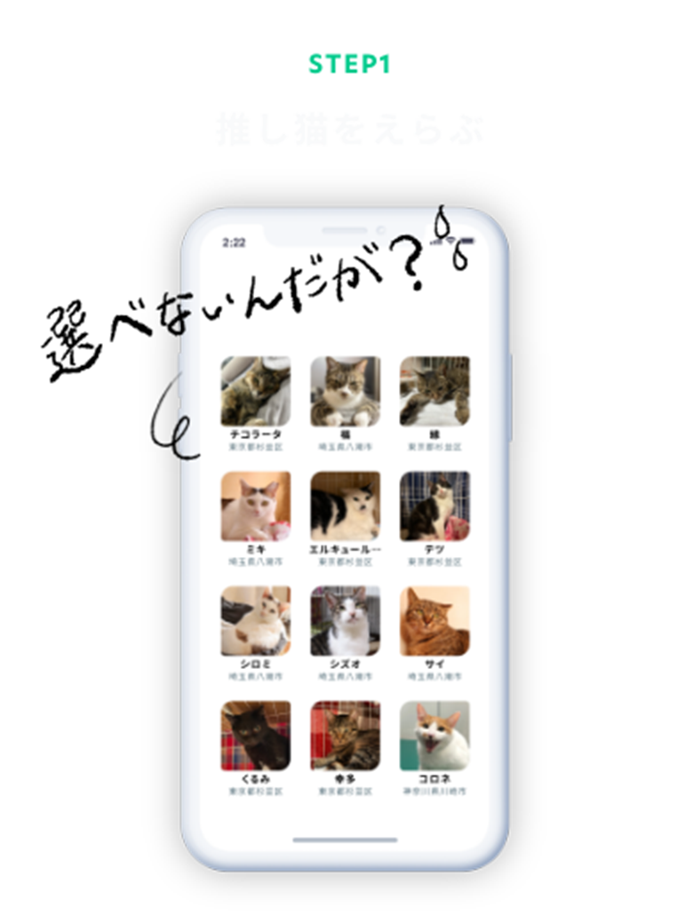 STEP1 ネコバディを選ぶ
