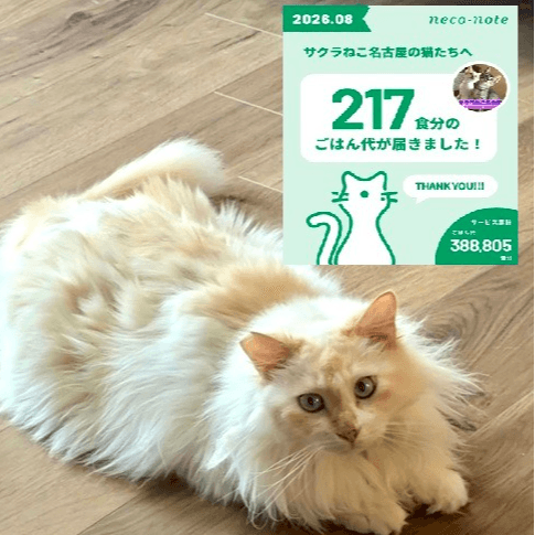 サクラねこ名古屋 - 愛知県名古屋市の保護猫団体 | neco-note（ネコ