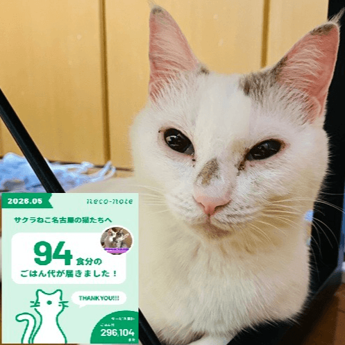 サクラねこ名古屋 - 愛知県名古屋市の保護猫団体 | neco-note（ネコ