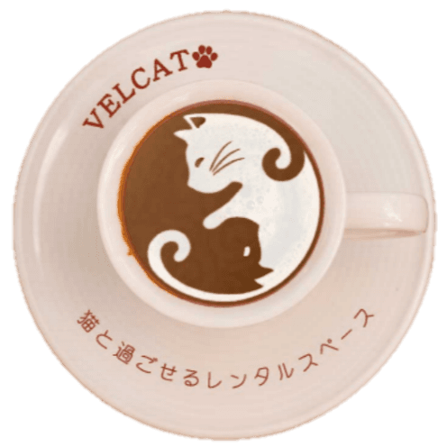 一般社団法人VELCAT - 神奈川県横浜市の保護猫団体 | neco-note（ネコ