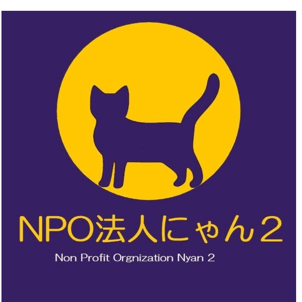 ☆受付☆猫 №2 NPO法人にゃん2 - 千葉県柏市の保護猫団体 | neco-note（ネコノート）