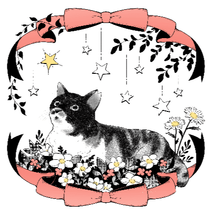 猫とイチオクノホシ - 千葉県松戸市の保護猫団体 | neco-note（ネコ
