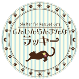 てんしんらんまんな★ラッキー様のロゴ