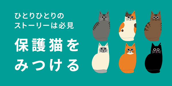 メンバー
